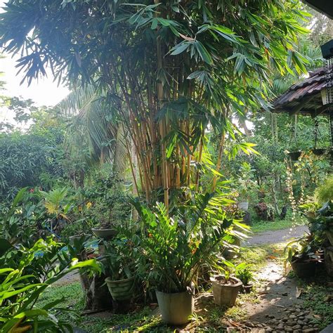 ASIRI HOMESTAY (Sigiriya) - Specialty Inn Reviews, Photos, Rate ...
