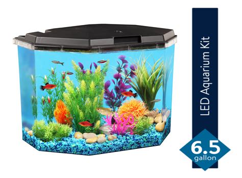 Aqua Culture 6.5-Gallon Semi-Hex Aquarium Kit with LED Lighting and ...
