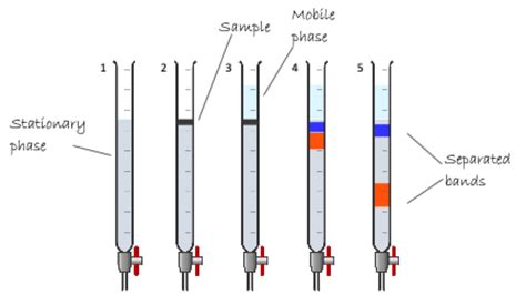 Image result for Column Chromatography Graph