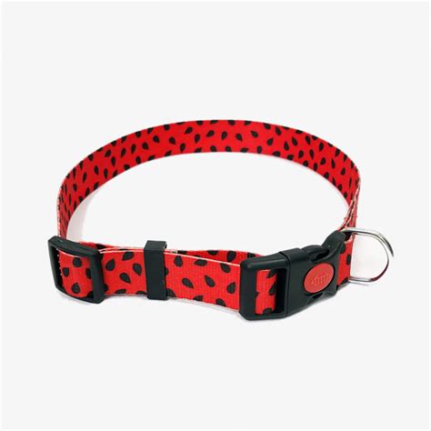 Graphic Dog Collar - JUICY WATERMELON – Indihopshop