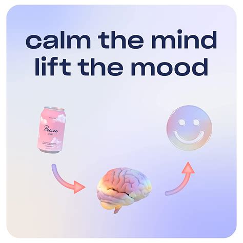 Recess Mood Magnesium Supplement Drink Variety Pack - 12oz (12 Pack), Original Flavors | Buy Now ...