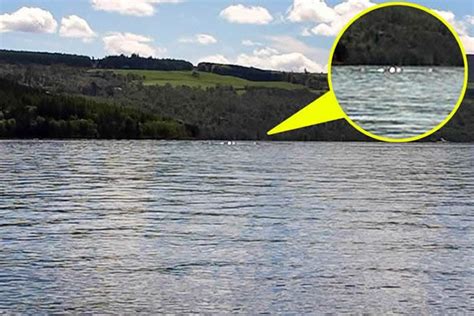 研究发现尼斯湖水怪可能真实存在 “水怪”究竟是什么东西？ - 神秘的地球 科学|自然|地理|探索