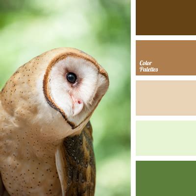 Image result for HTML Introduction Designs
