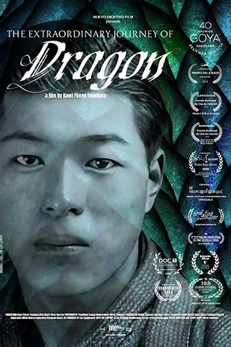 HIFF | 2026