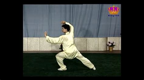 陳思坦~88式太極拳全套示範（配宇幕背面） Yang style 88 form Tai Chi