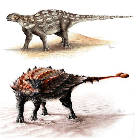 Join the Club – How Ankylosaurs Evolved Their Formidable Tails