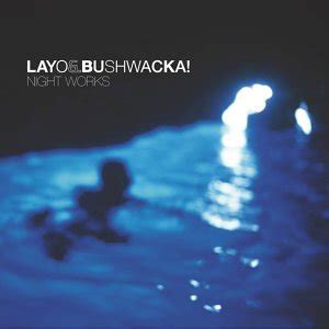Nightworks: Layo & Bushwacka: Amazon.in: Music}