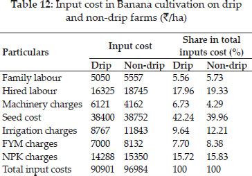 Economics of Sugarcane and Banana Cultivation under Drip Irrigation ...