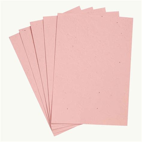 Plantable Seed Paper | Sustainable Handmade Cotton Paper with Seeds