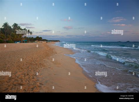 PowerPoint Tutorials for Design 的图像结果