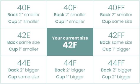 Cup Size Examples 的图像结果