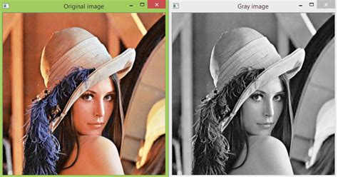 Image result for Gray Scale Processing in Python