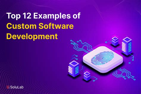 Image result for Custom Software Development Examples