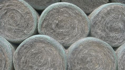 Soggy weather makes harvest tricky for hay farmers