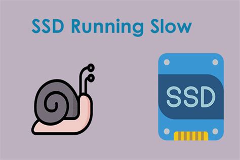 SSD Slow 的图像结果