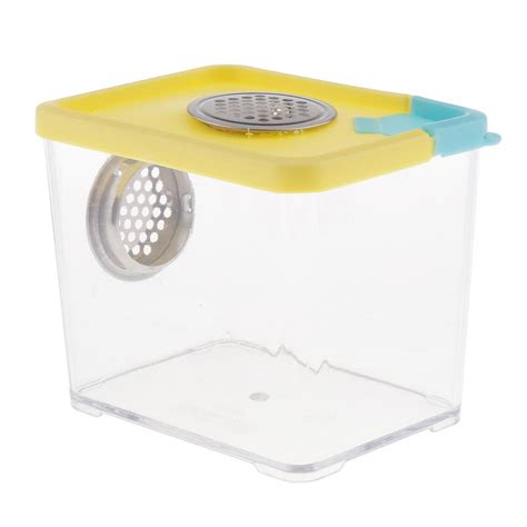 Buy Reptile Insect Beetle Centipede Hatchery Feeding Breeding Box Tank ...