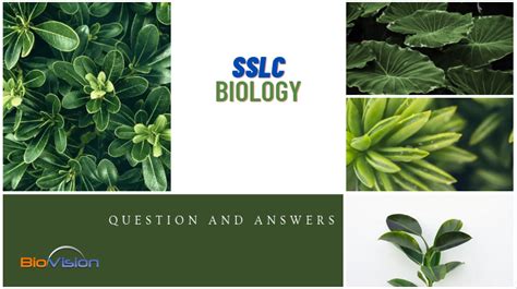 SSLC Biology - Chapter 3 - Question and Answers | സമസ്ഥിതിക്കായുള്ള ...