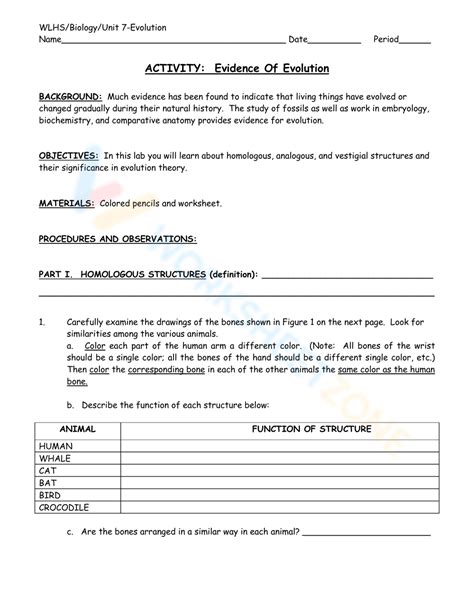 Evidence for Evolution Worksheet 的图像结果