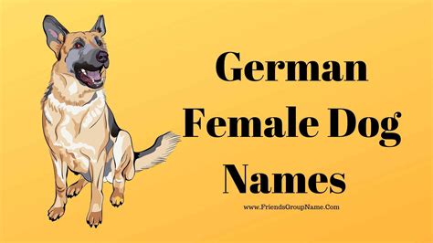 German Female Dog Names 2025