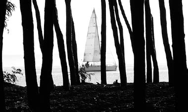 Cards Deals & Offers Online - IndusInd Bank PIONEER