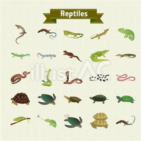 Image result for Read Python