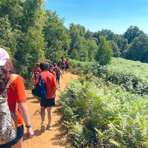 3 Learning Partner 的图像结果