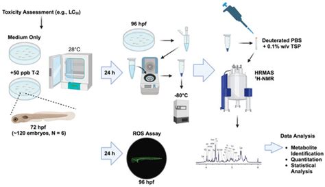 High-Resolution Magic-Angle Spinning Nuclear Magnetic Resonance ...