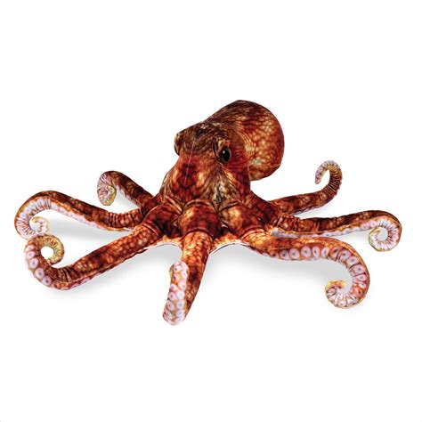 Image result for Octopus Metaheuristic Algorithm
