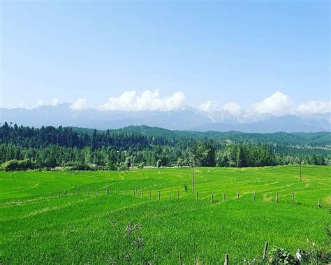 THE BEST Kupwara Mountains (with Photos) - Tripadvisor