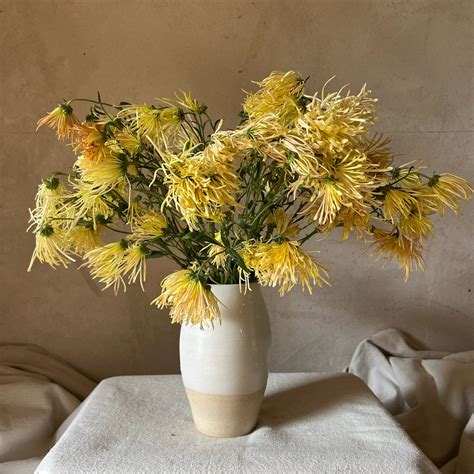 Bess Witt mum – 3 Porch Farm