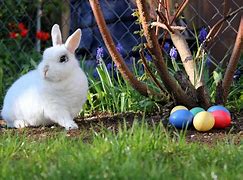 Image result for Easter Bunnies Cutouts