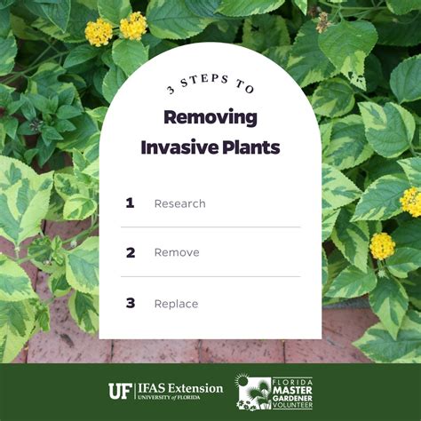 FL Master Gardener Volunteer Program on Twitter: "It’s National Invasive Species Awareness Week ...