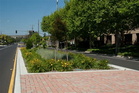 Street Median Design