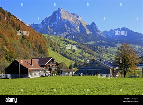 Alps Encoder 的图像结果