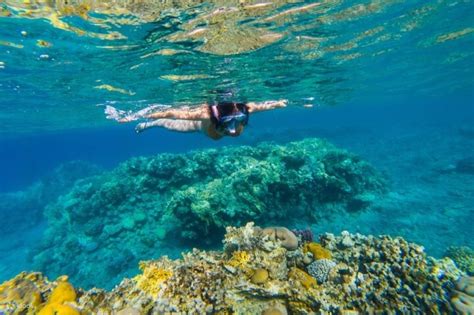 Tiran Island Snorkeling sea trip, Lunch & Transfer - Sharm El sheikh ...