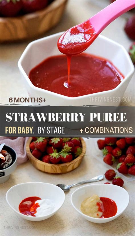 Strawberries For 7 Month Baby at Nina Roberts blog