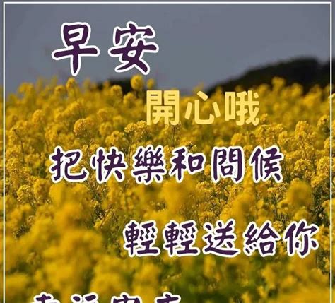 早安励志文案（向阳而生，大步向前，我们都是追梦人，早上好）-我爱育娃