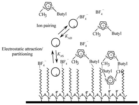 Estimation of Solute-Stationary Phase and Solute-Mobile Phase ...
