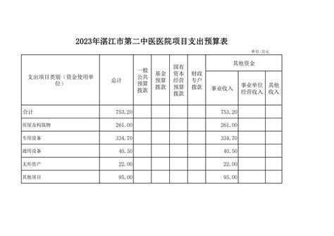 湛江市第二中医医院2023年预算编报说明_湛江市第二中医医院
