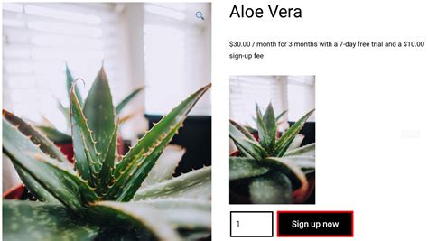Image result for WooCommerce Subscriptions Tutorial
