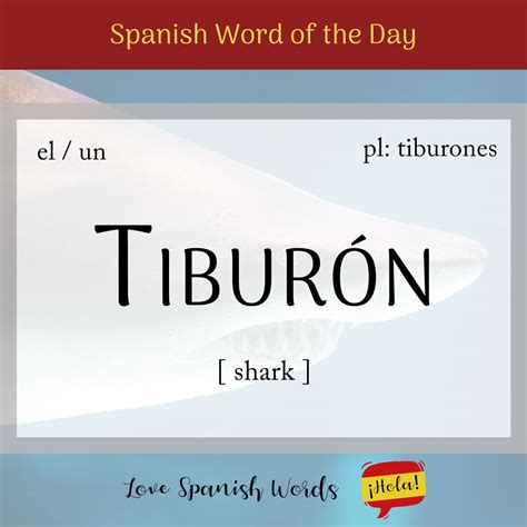 Spanish Word of the Day: Tiburón (shark) - Love Spanish Words