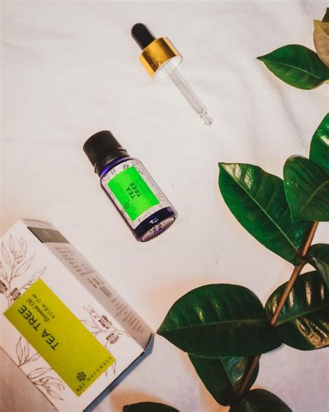 Multiple Problems, One Solution: Tea Tree Essential Oil! | LBB