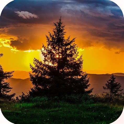 HD Nature Wallpaper - App on Amazon Appstore