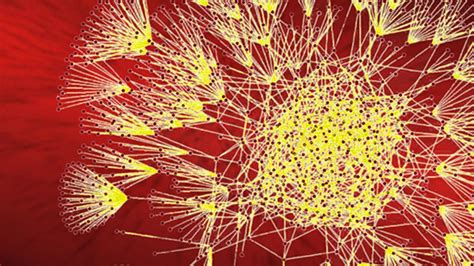 Data Science Course Freecodecamp 的图像结果