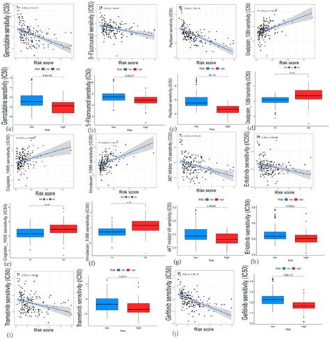 Development and Validation of a Centrosome Amplification-Related ...