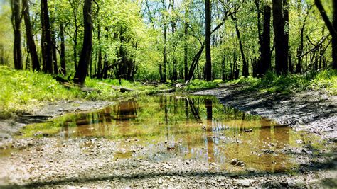 Des Plaines River trail Photos