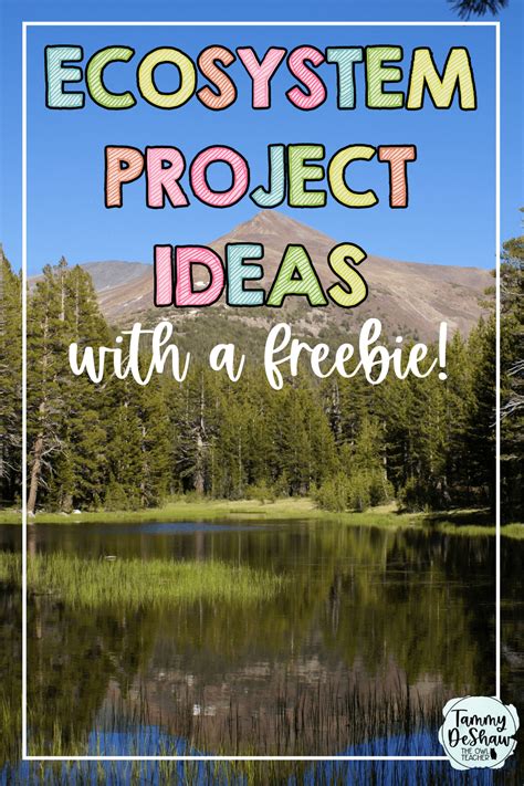 Ecosystem Project 的图像结果