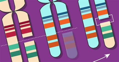 Improved Research Model for Childhood Leukemia - NCI