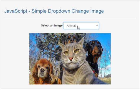 Image result for Click to Change Images JavaScript 2020