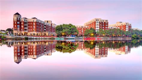 Image result for Cytotoxicity Testing